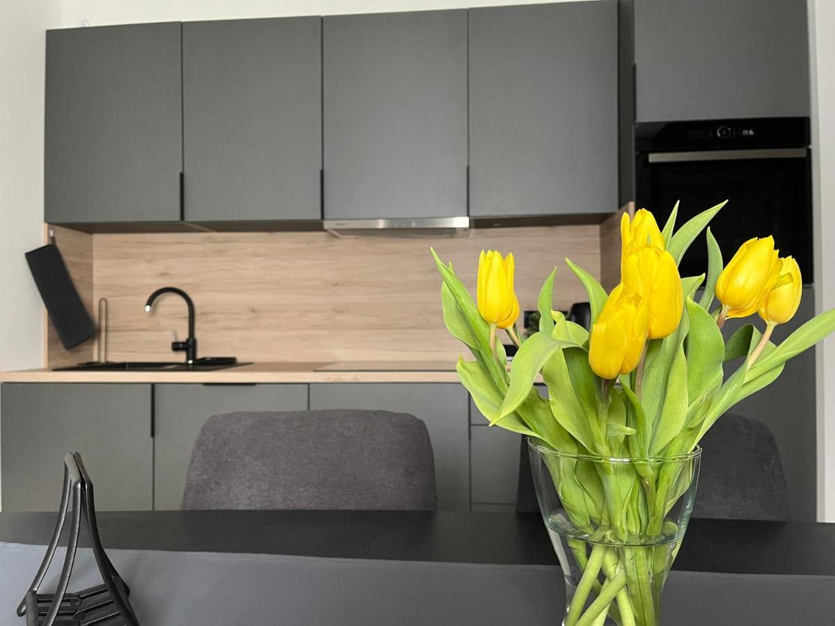Apartment Kammi زغرب المظهر الخارجي الصورة